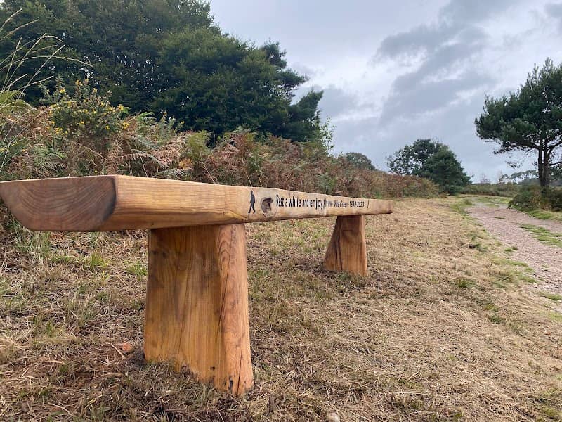 Mike's Bench - Image 2