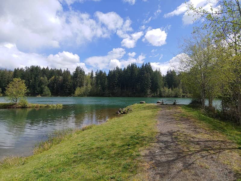 Cowlitz Falls Day Use Park - Image 1