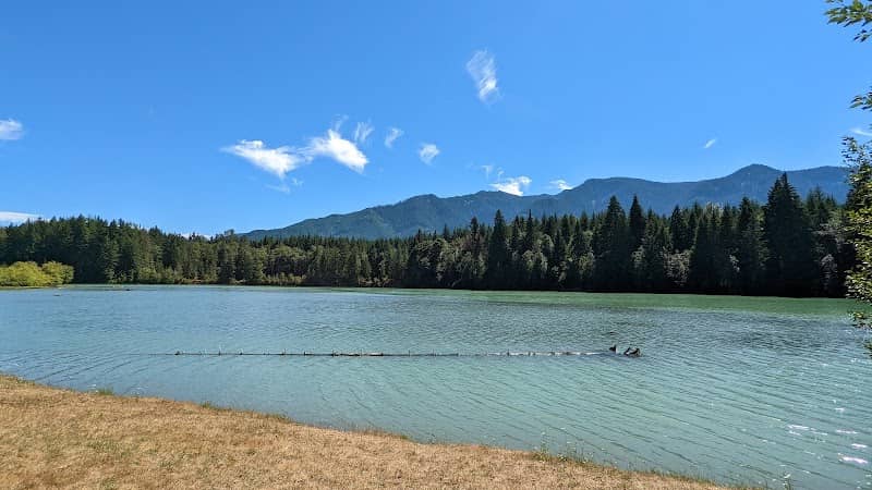 Cowlitz Falls Day Use Park - Image 2