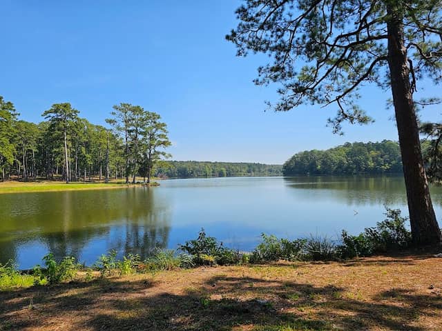 Lake Lowndes State Park - Image 2