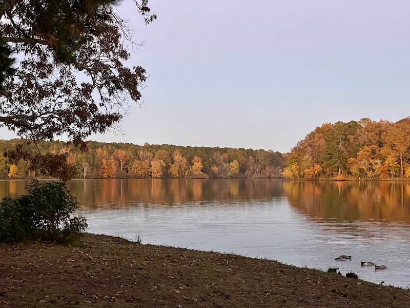 Lake Lowndes State Park - Image 1