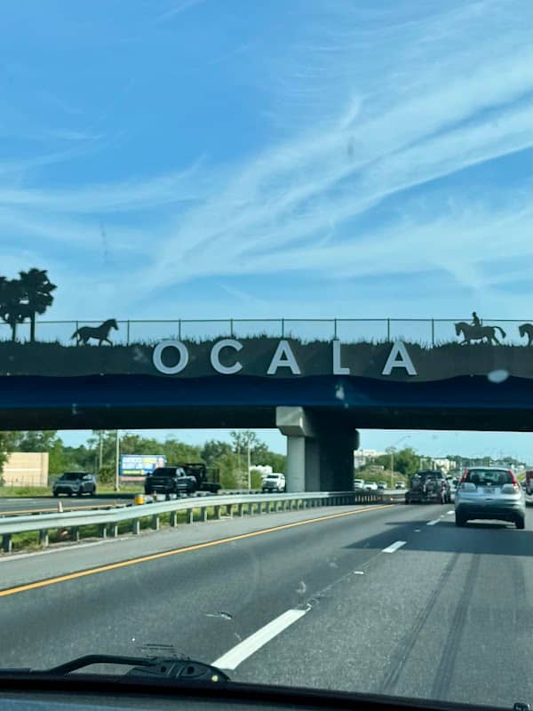 Ocala Sign - Image 1