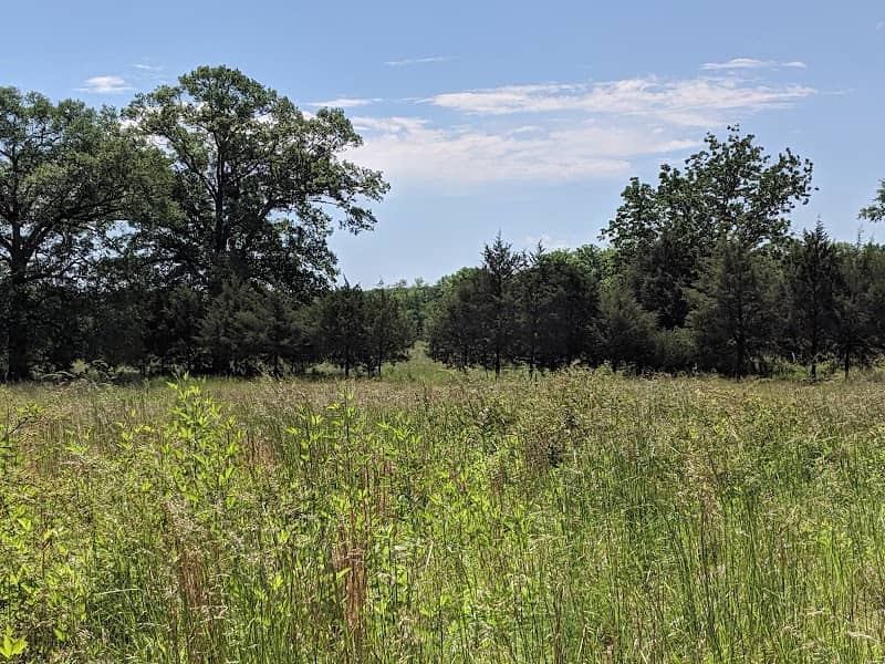 Shoal Creek Park - Image 1