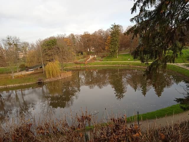 Przewodnik - Image 1