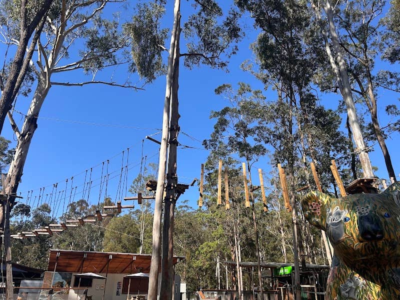 WildNets Adventure Park Port Macquarie - Image 1