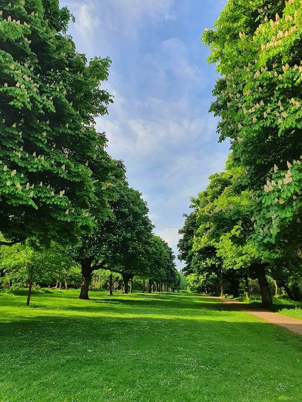 Norton Common - Image 2