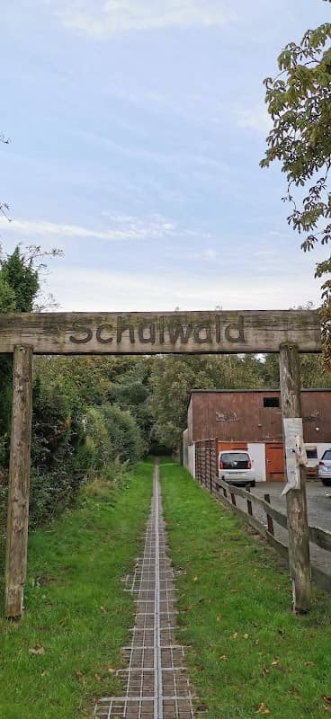 Schulwald Loxstedt - Image 1