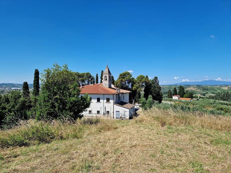 Cipressi di Petroio - Image 2