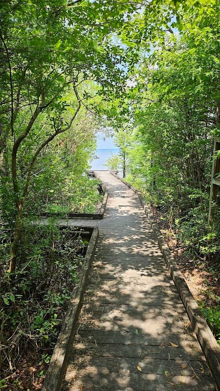 Pocosin Natural Area - Image 1