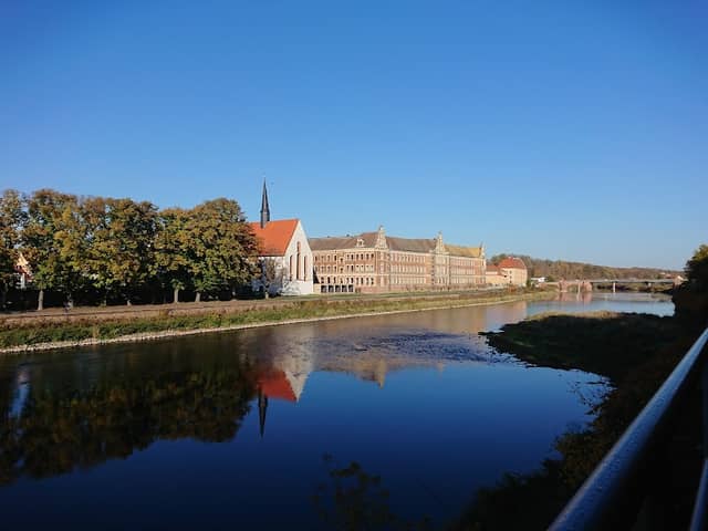 Stadtwald Grimma - Image 1
