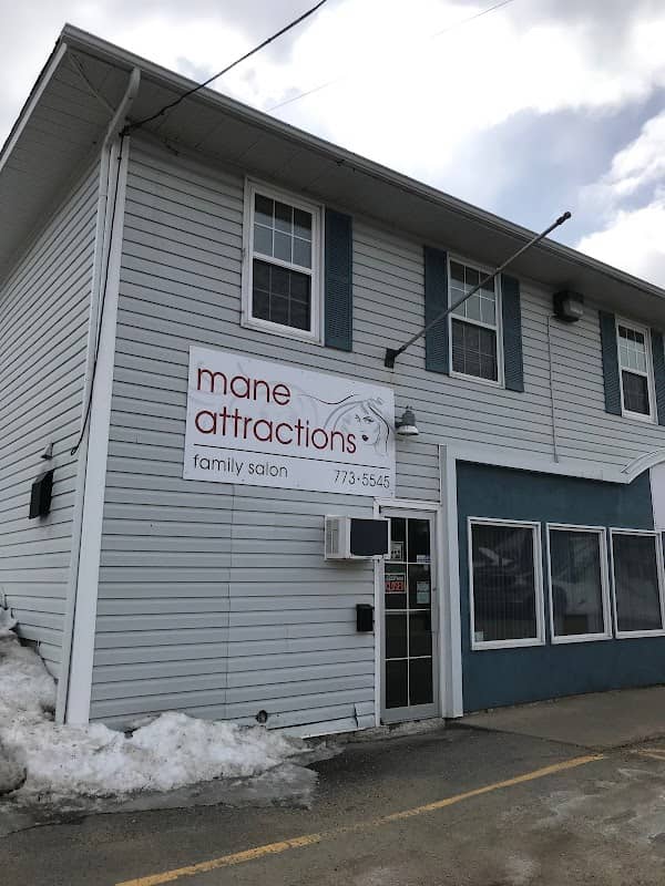 Mane Attractions - Image 1