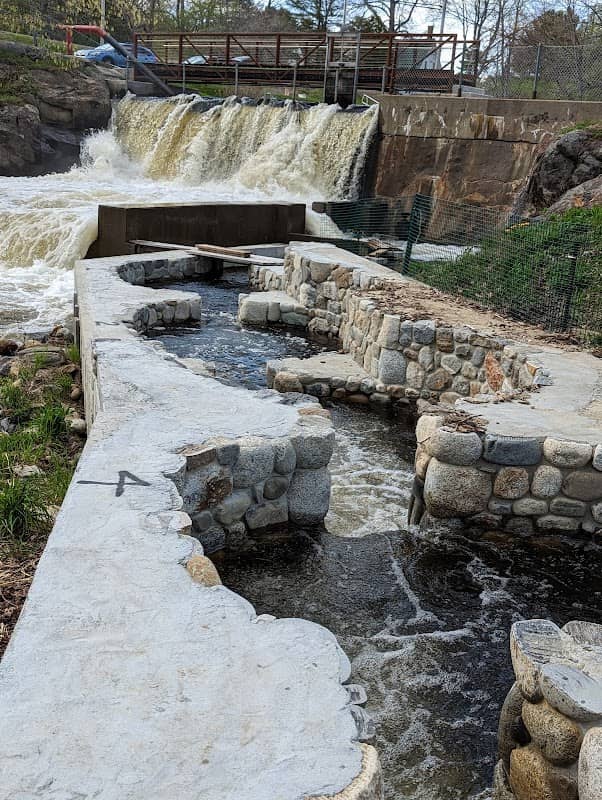 Bristol Mills Dam - Image 2