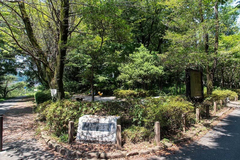 Tamagawa Ryokuchi Fussa Kamijosui Park - Image 2