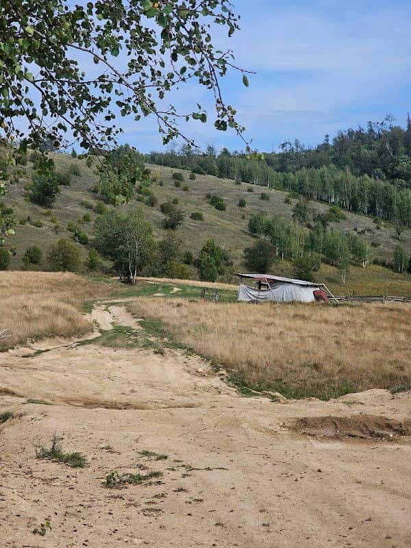 Sheepfold - Image 1