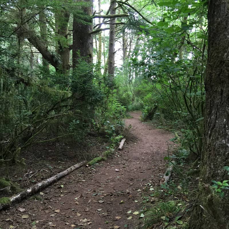 Weatherwax Trail - Image 1