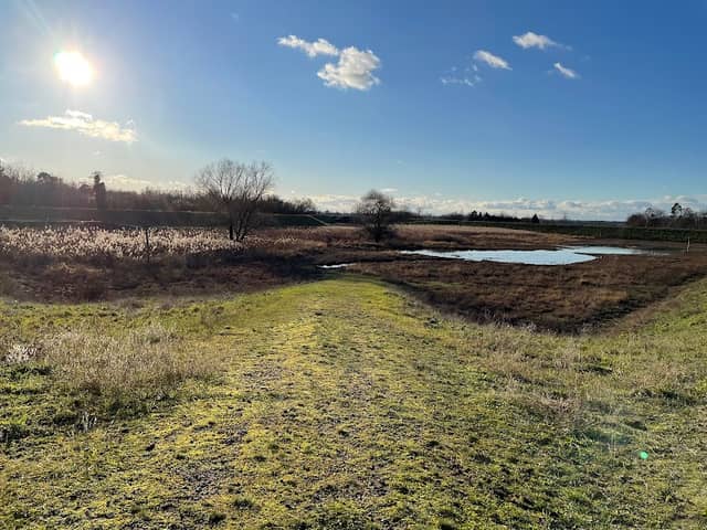 Staubecken Landgraben - Image 1