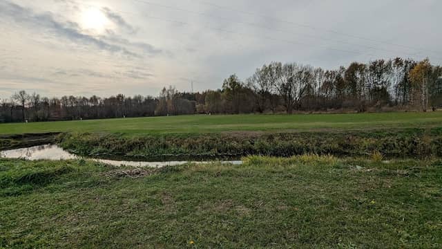 Park wiejski - Image 2