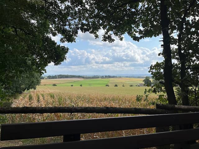 Herrliche Aussicht - Image 1