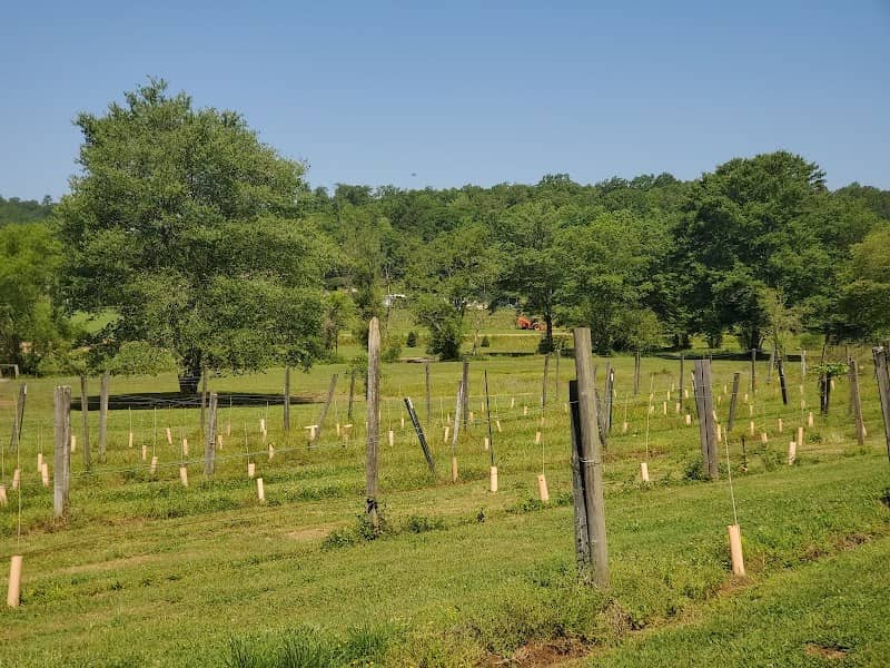 Valley River Vineyards - Image 1