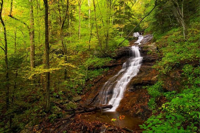 Waterfalls on Beechflat Creek - Image 1