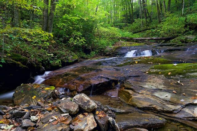 Waterfalls on Beechflat Creek - Image 3