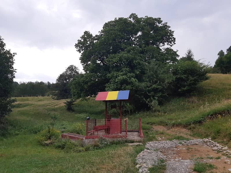Fântâna poetului Vasile Voiculescu - Image 1