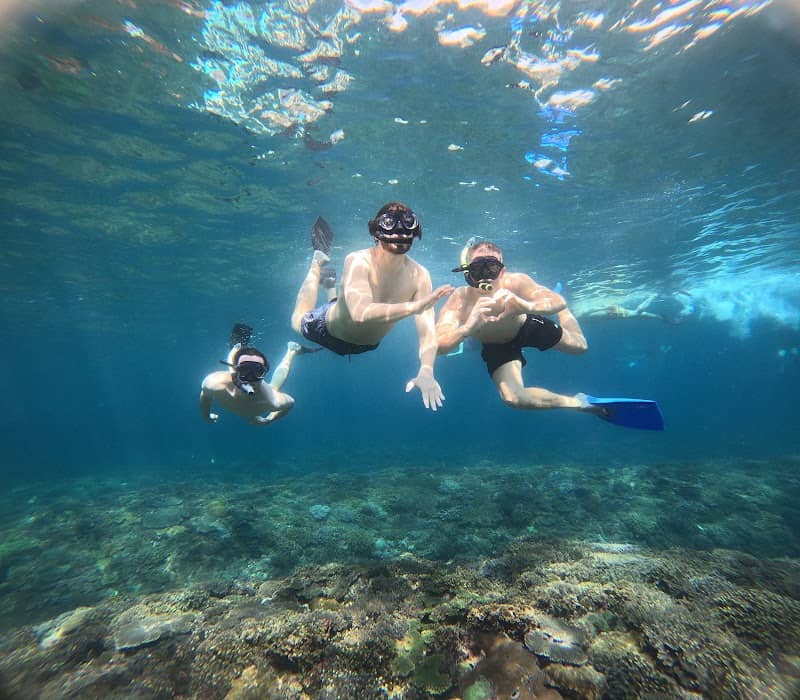 Manta snorkling - Image 1