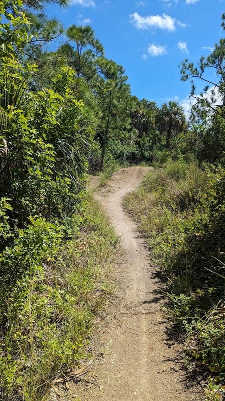 BIKE PARK NORTHPORT - Image 1