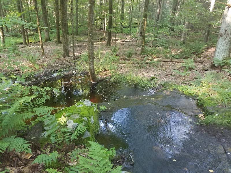 Ledgedale Natural Area - Image 1