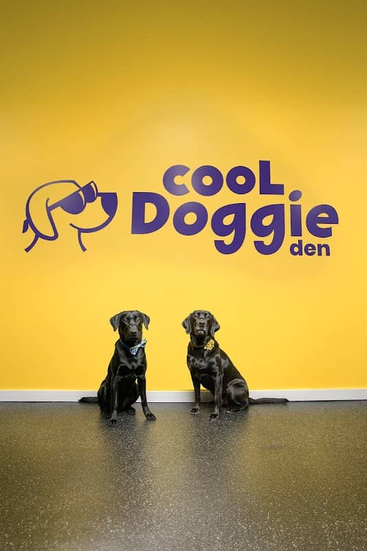Cool Doggie Den - Image 1