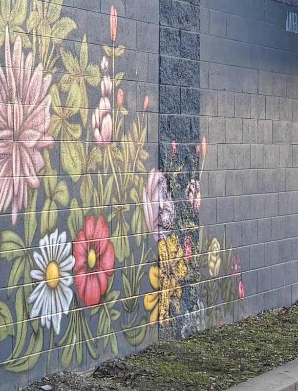 The Blooming Garden Mural - Image 2