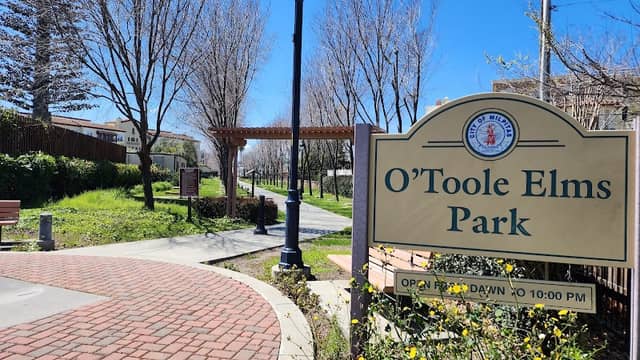 O'Toole Elms Park - Image 1
