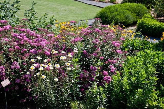 Legacy Gardens - Faulkner County Master Gardeners - Image 1