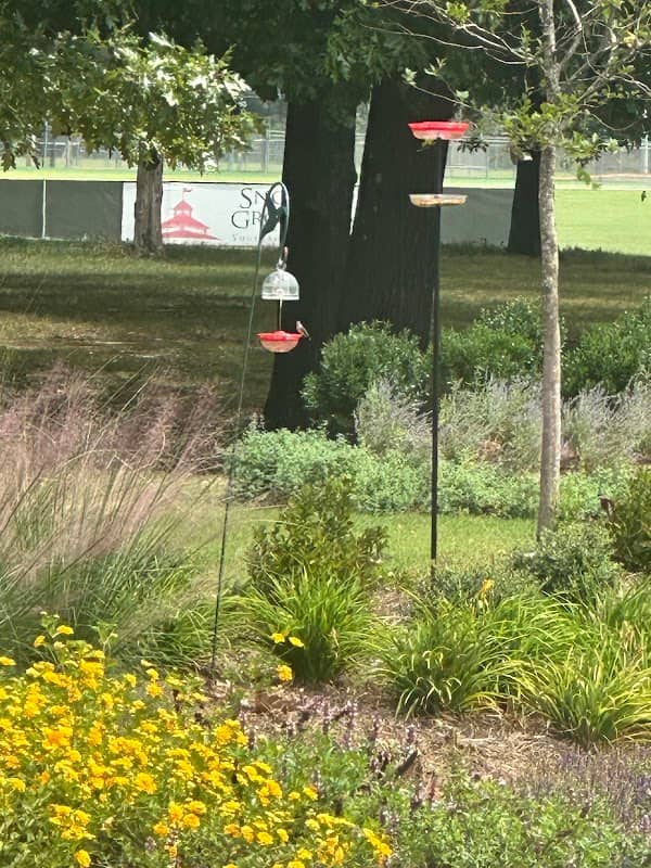 June Wheeler Memorial Humingbird Garden - Image 2