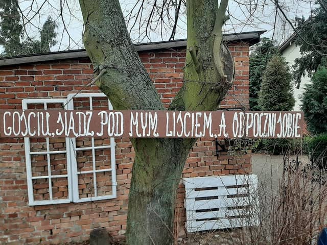 Ławeczka pod lipą - Image 1