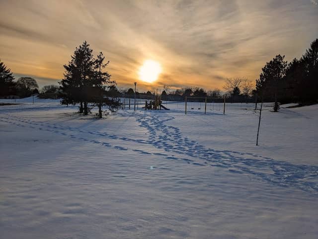 Chapel Hills Park - Image 3