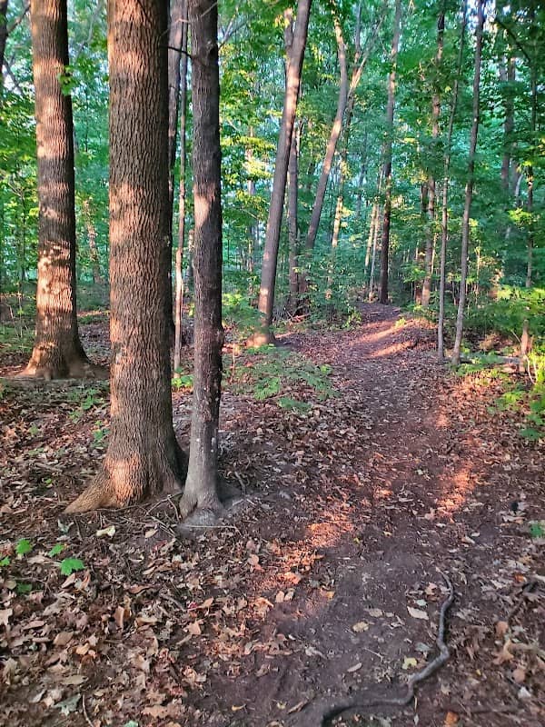 Harvey Fraser Nature Park - Image 1