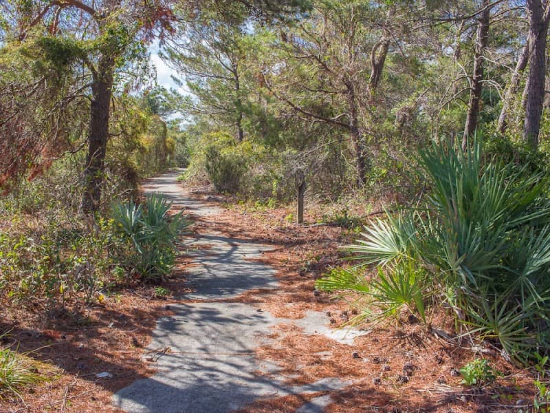 Rosemary Scrub Natural Area - Image 1