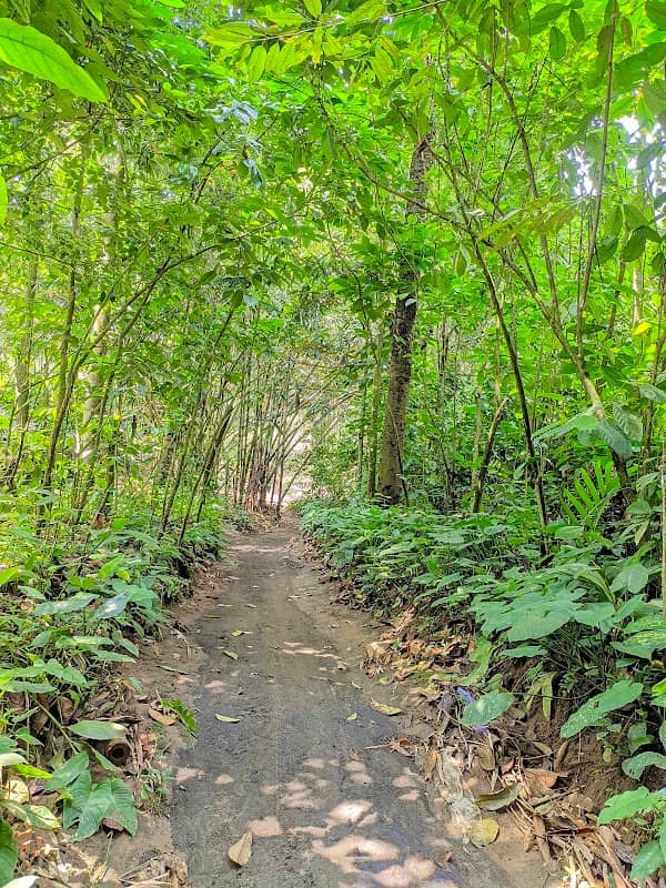Piji Footpath - Image 1