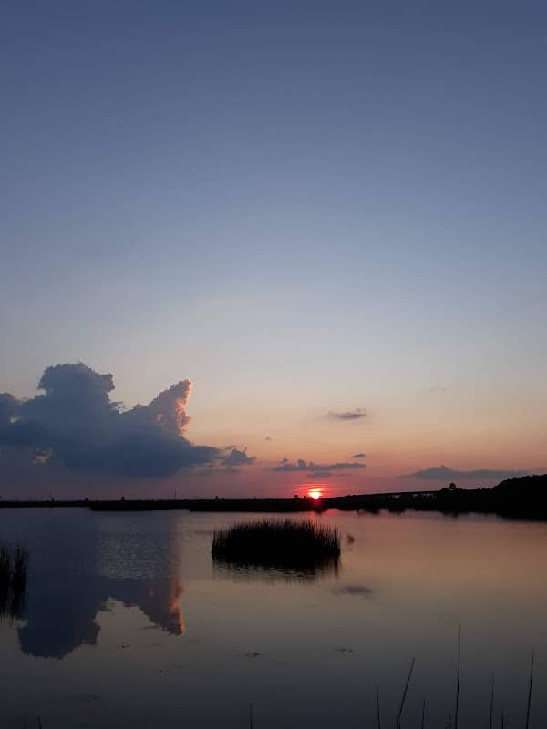 Escatawpa River Marsh Coastal Preserve - Image 2