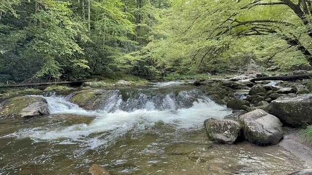 Great Smoky Mountain Vista Campground - Image 3