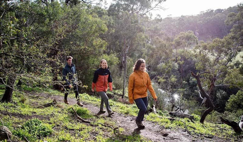 Plenty Gorge Park (Parks Victoria) - Image 2