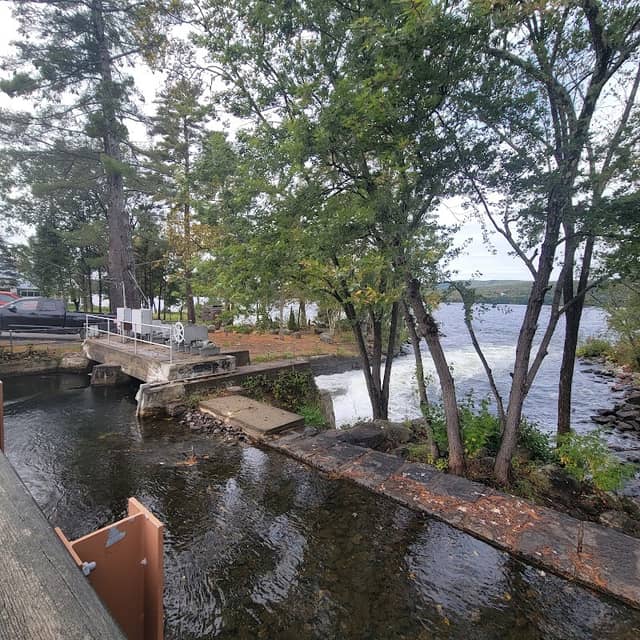 Belgrade Peninsula Park - Image 1