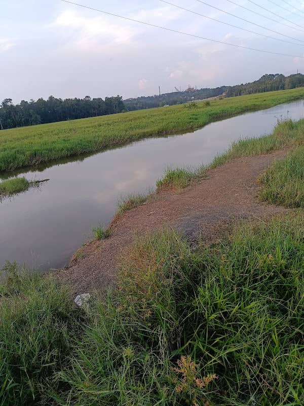 Kakkanad mini view point - Image 2