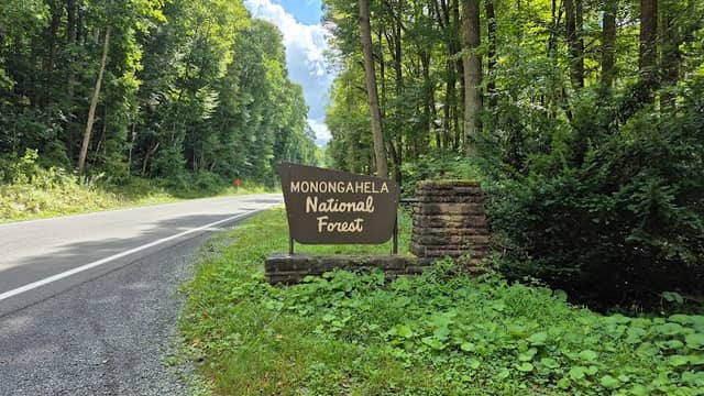 Monongahela National Forest Sign - Image 1