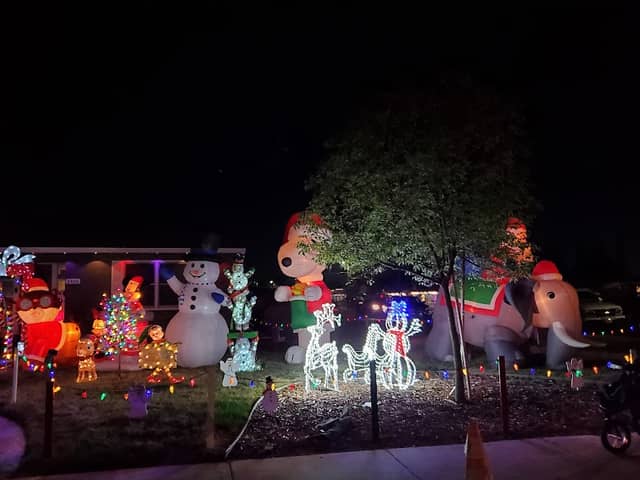 Christmas Tree Lane - Image 1