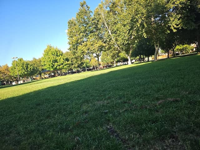 Curt Andre Park - Image 1