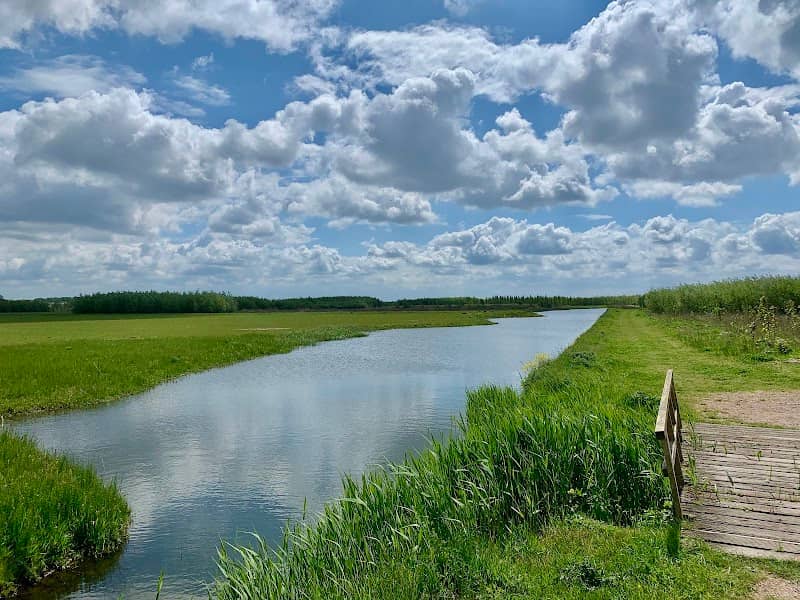 Bentwoud Oost - Image 1