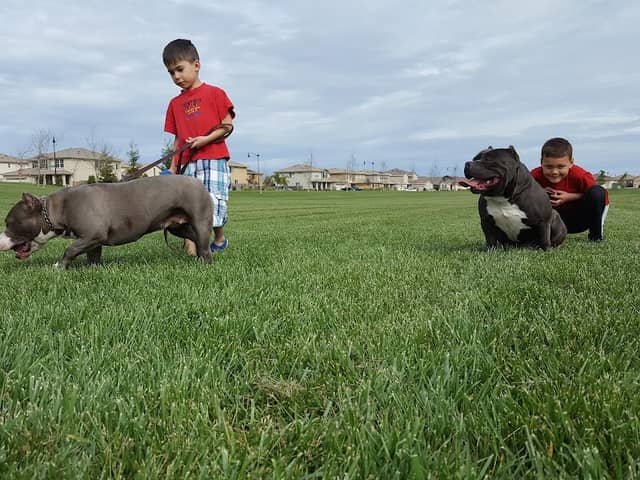 Union Ranch East Park - Image 1