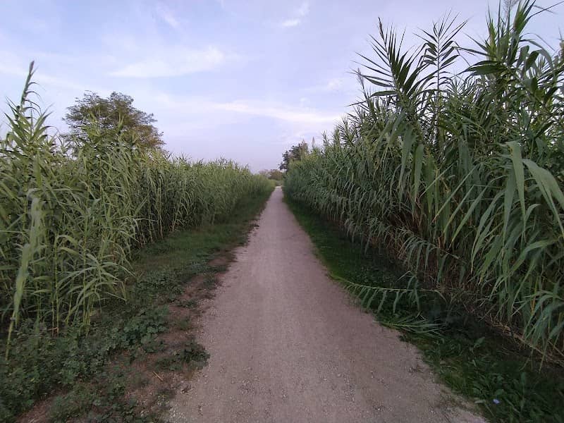 Sentieri per l'Uso - Image 1
